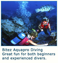 Diving in Bitez